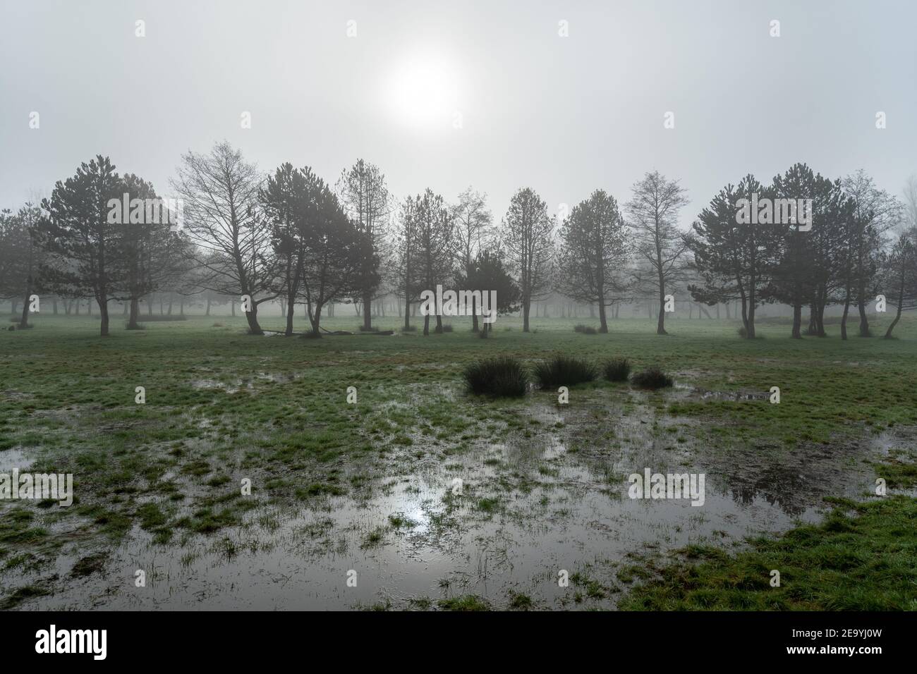Gebiet der lokalen Grünfläche oder Country Park wasserdurchsetzt und schlammig während eines nassen Winters an einem nebligen Morgen, Hampshire, Großbritannien Stockfoto