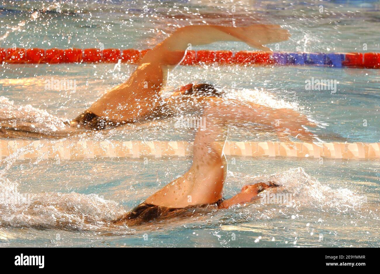 Freestyle Schwimmer während der französischen Meisterschaft in Dunkerque, Frankreich, am 14. Januar 2005. Foto von Nicolas Gouhier/Cameleon/ABACA. Stockfoto