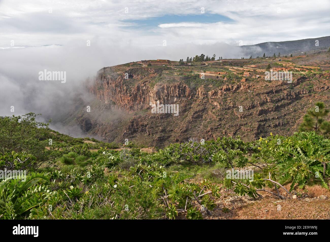 Wolkenmeer, das in eine Schlucht eindringt Stockfoto