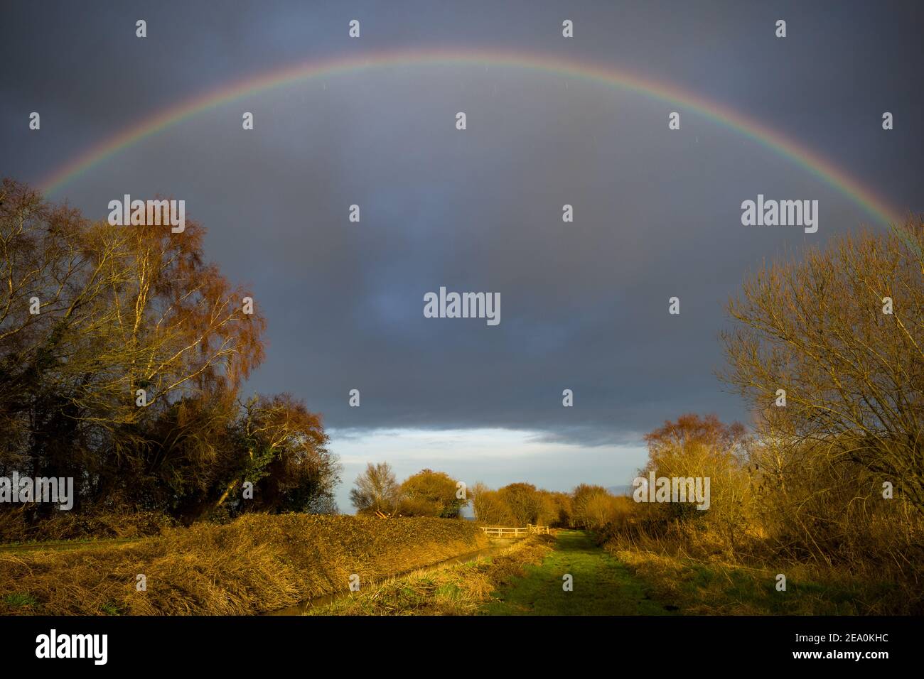 Dramatischer Regenbogen bricht, wenn das Abendlicht über das Ham Wall RSPB Reservat fällt, das zum Avalon Marshes Feuchtgebiet Naturschutzgebiet gehört. Somerset, Großbritannien Stockfoto