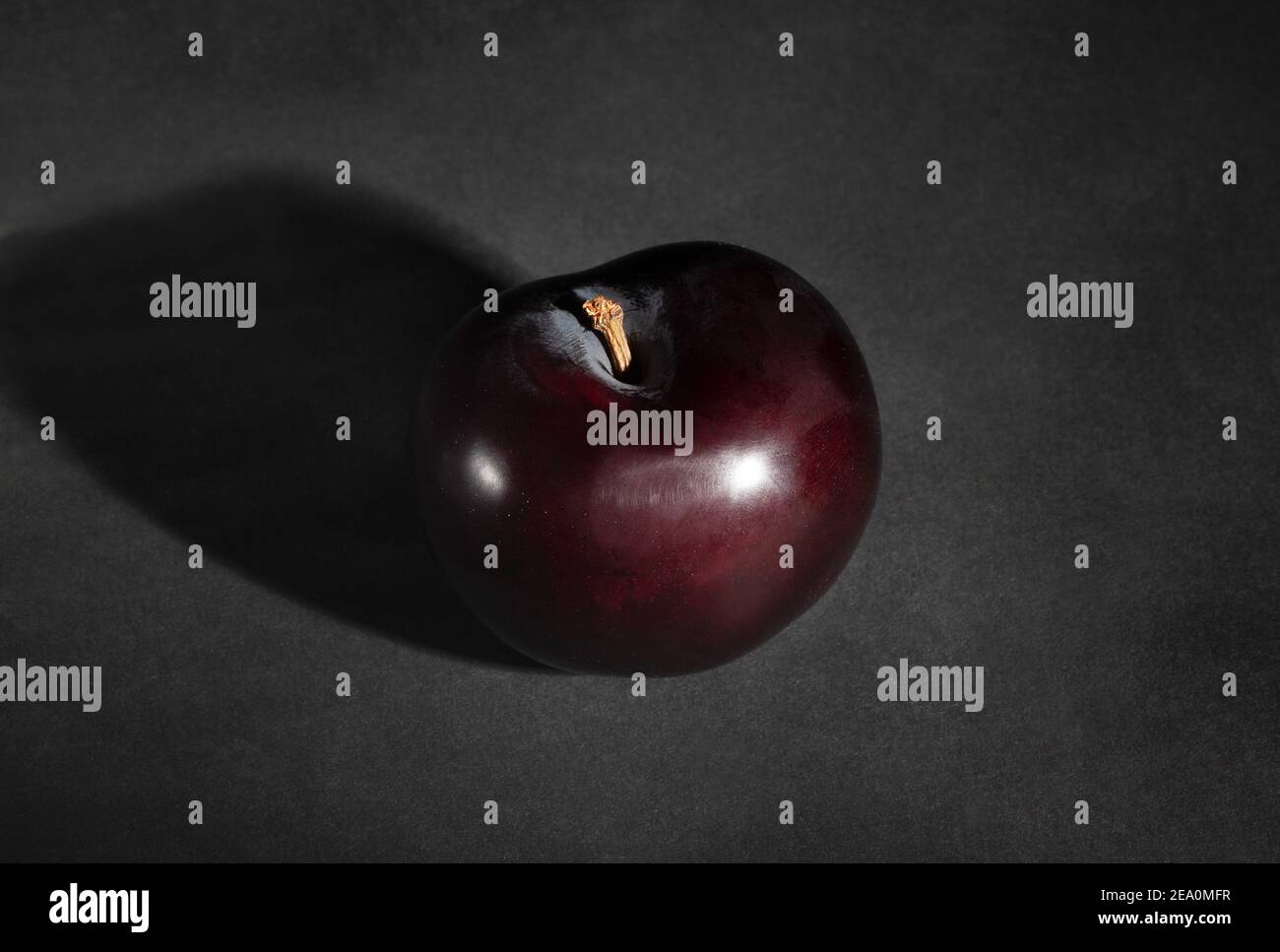 Dunkelrote burgunderrote Pflaume auf schwarzem Hintergrund Stockfoto