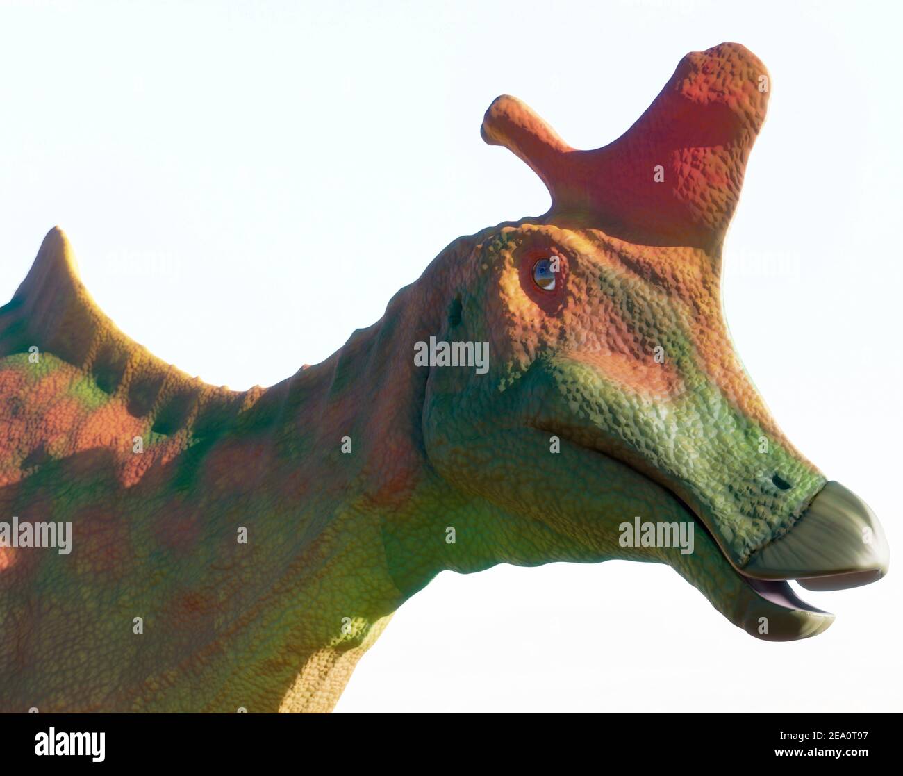 Kopf des Dinosauriers Lambeosaurus Stockfoto