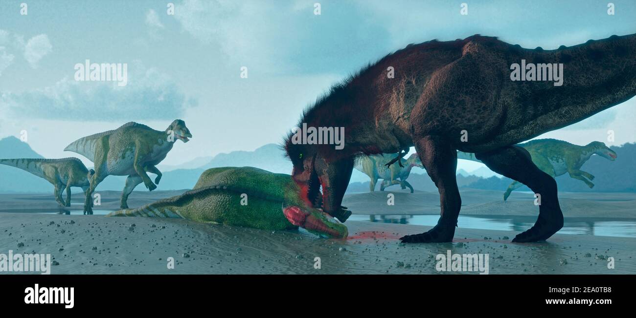 T Rex mit Edmontosaurus Beute Stockfoto