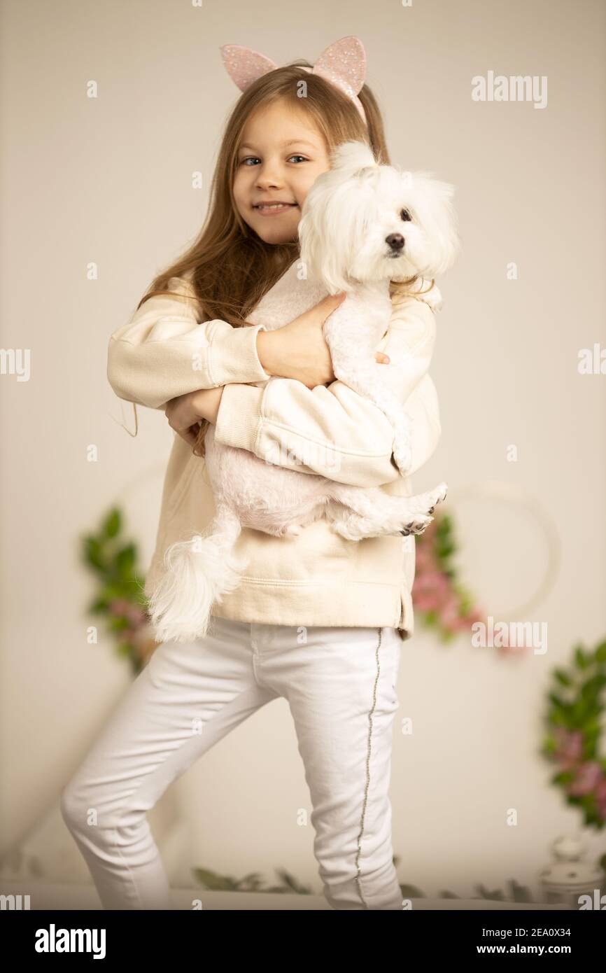 Schöne schöne fröhliche Mädchen hält ihr Haustier Lapdog über beige Background Stockfoto