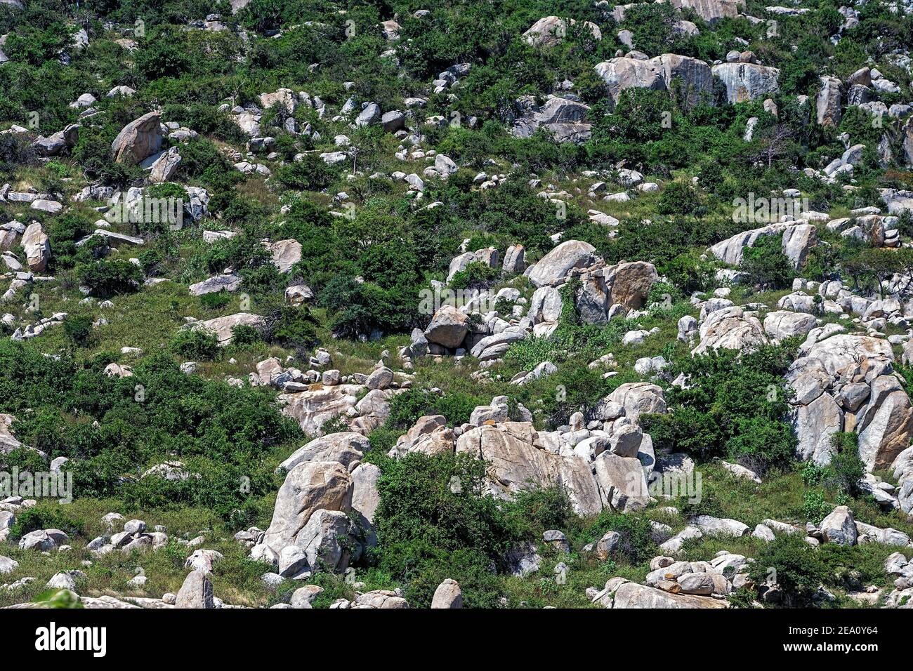 Teil eines Berges, wo Vegetation mit vorstehenden gemischt ist Rock Stockfoto