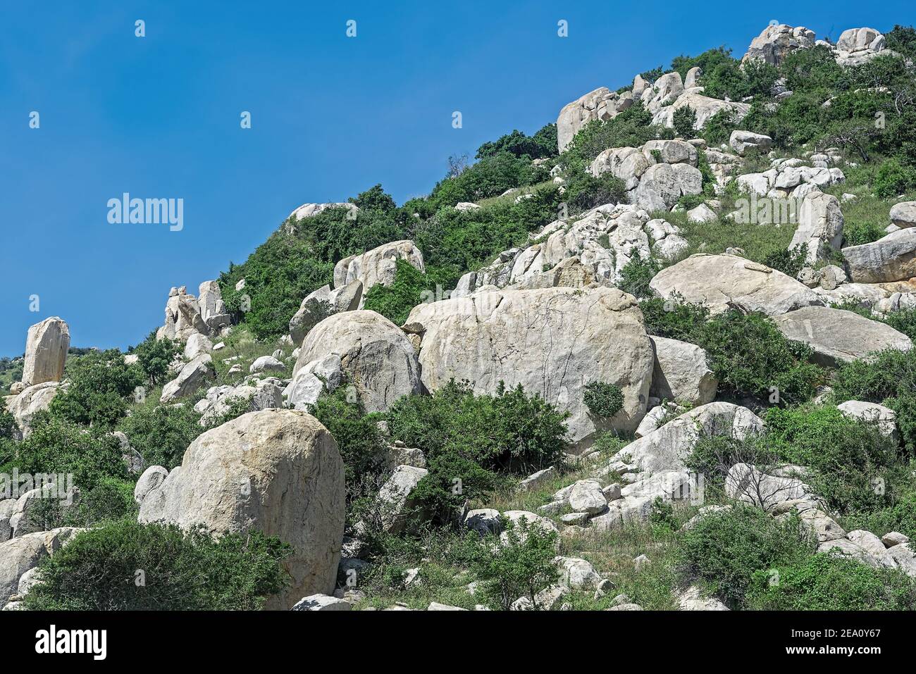 Berghang mit großen Steinen, mit viel Grün bedeckt. Stockfoto