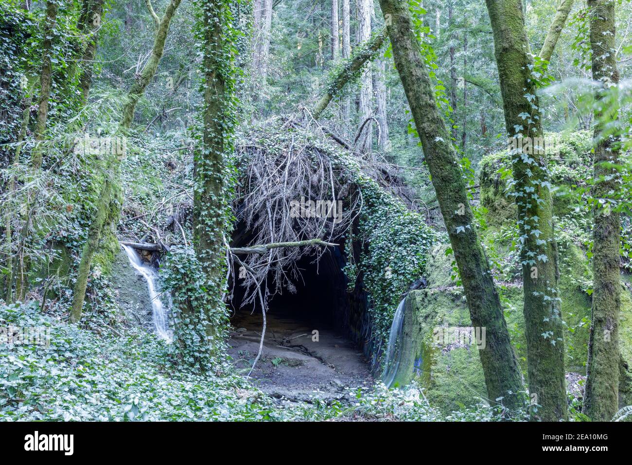 Wrights Tunnel North Portal Stockfoto