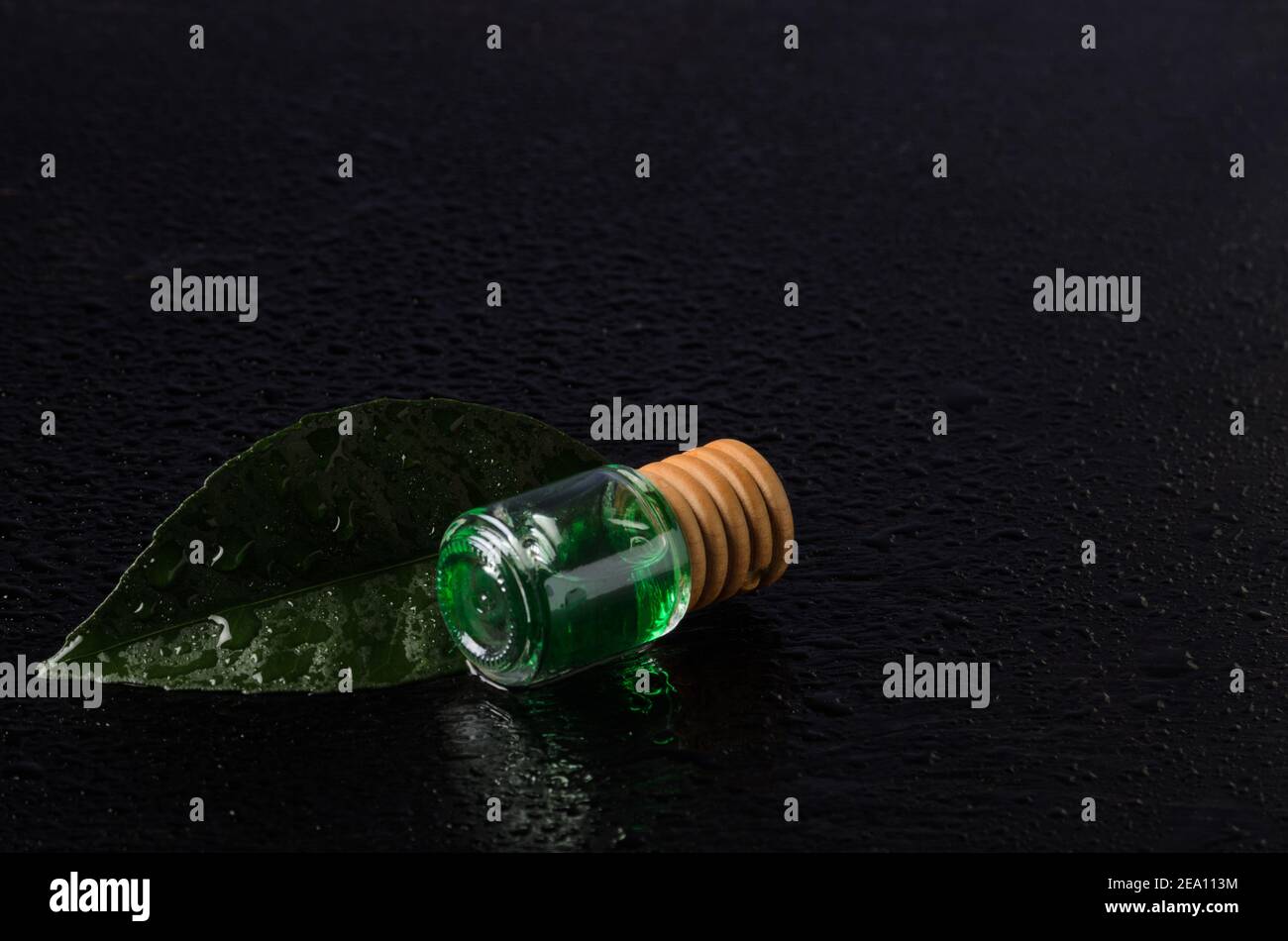 Zitronengeschmack von smaragdgrünen Farbe in einer Glasflasche mit einem Holzstopfen auf einem grünen Blatt mit Wassertröpfchen. Die dunkle Taste. Stockfoto