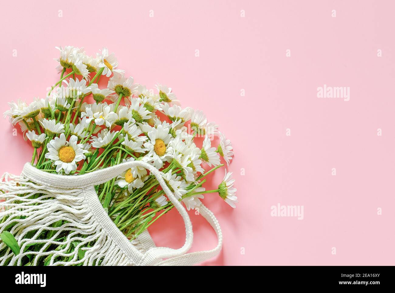 Bouquet von Feldblumensträuße in wiederverwendbaren Shopping Öko Netzbeutel auf rosa Hintergrund. Konzept kein Kunststoff und kein Abfall. Kopierbereich Ansicht oben. Stockfoto