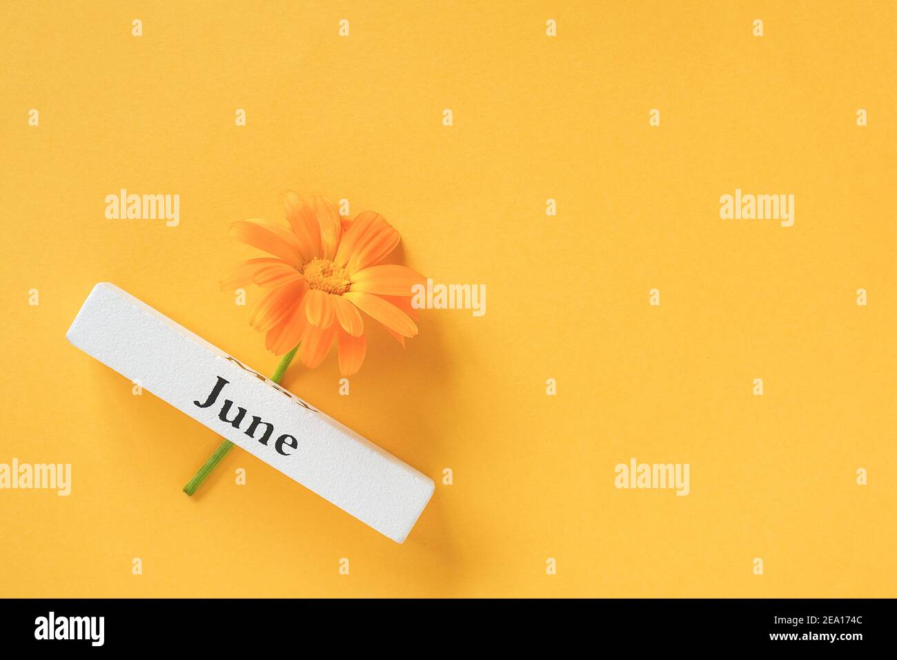 Eine orangefarbene Ringelblume und der Sommermonat Juni auf gelbem Hintergrund. Draufsicht Kopierbereich Flat Lay Minimaler Stil. Konzept Hallo June Templa Stockfoto