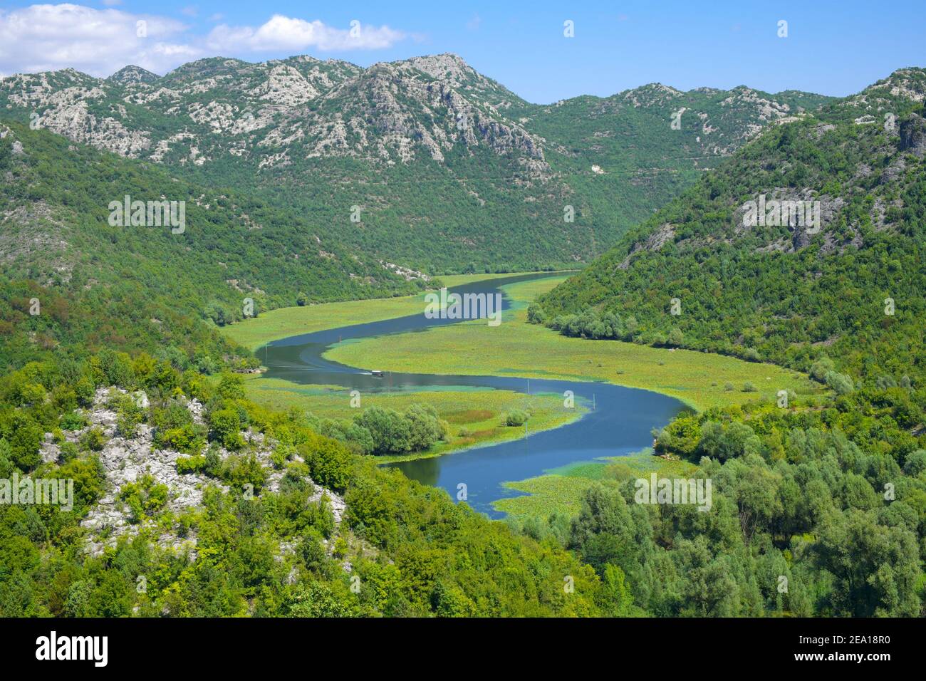 Eine kurvige Strecke des Crnojevica Flusses im Skadar See Nationalpark, Montenegro Stockfoto
