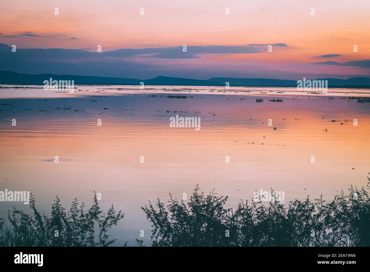 Lange Belichtung Vanille bunten Himmel und See Reflexion mit Bergen im Hintergrund. Verschwommenes wildes Gras weht im Wind im Vordergrund Stockfoto