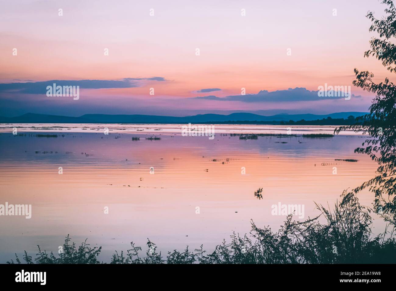 Lange Belichtung Vanille bunten Himmel und See Reflexion mit Bergen im Hintergrund. Verschwommenes wildes Gras weht im Wind im Vordergrund Stockfoto