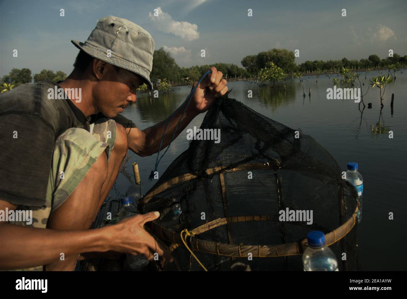Ein Fischzüchter, der die Aquakultur auf einem Mangrovenaufforstungsgebiet in Pantai Indah Kapuk, Jakarta, Indonesien, betreut. Stockfoto