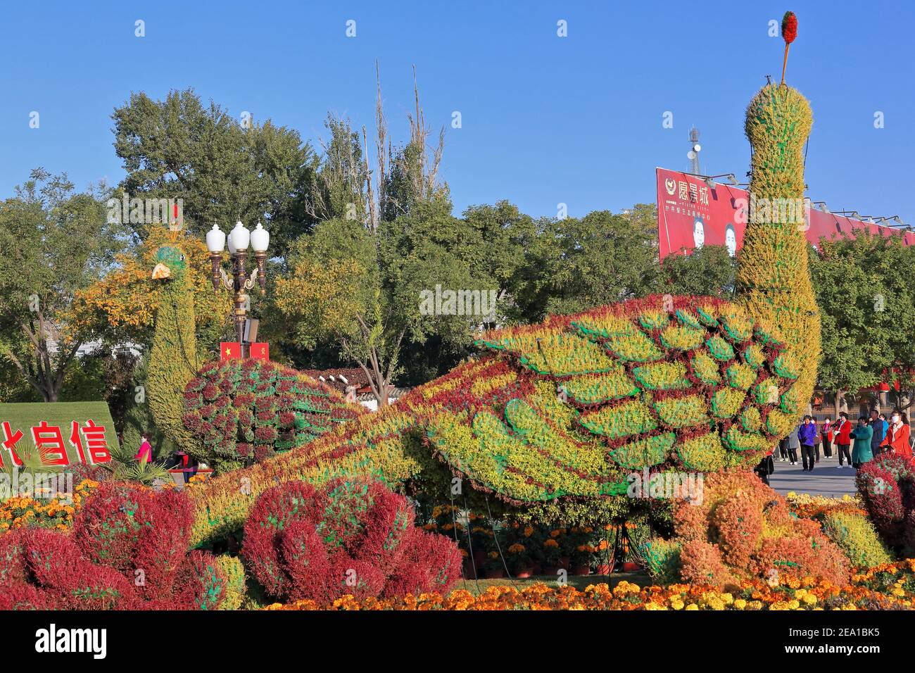 Pfau topiary-sorgfältig getrimmten Hecken in Form von zwei Vögeln von einem Kunststoffrahmen auf einer gelb-orange-Granatblüte und Strauch Basis unterstützt. Zhangy Stockfoto