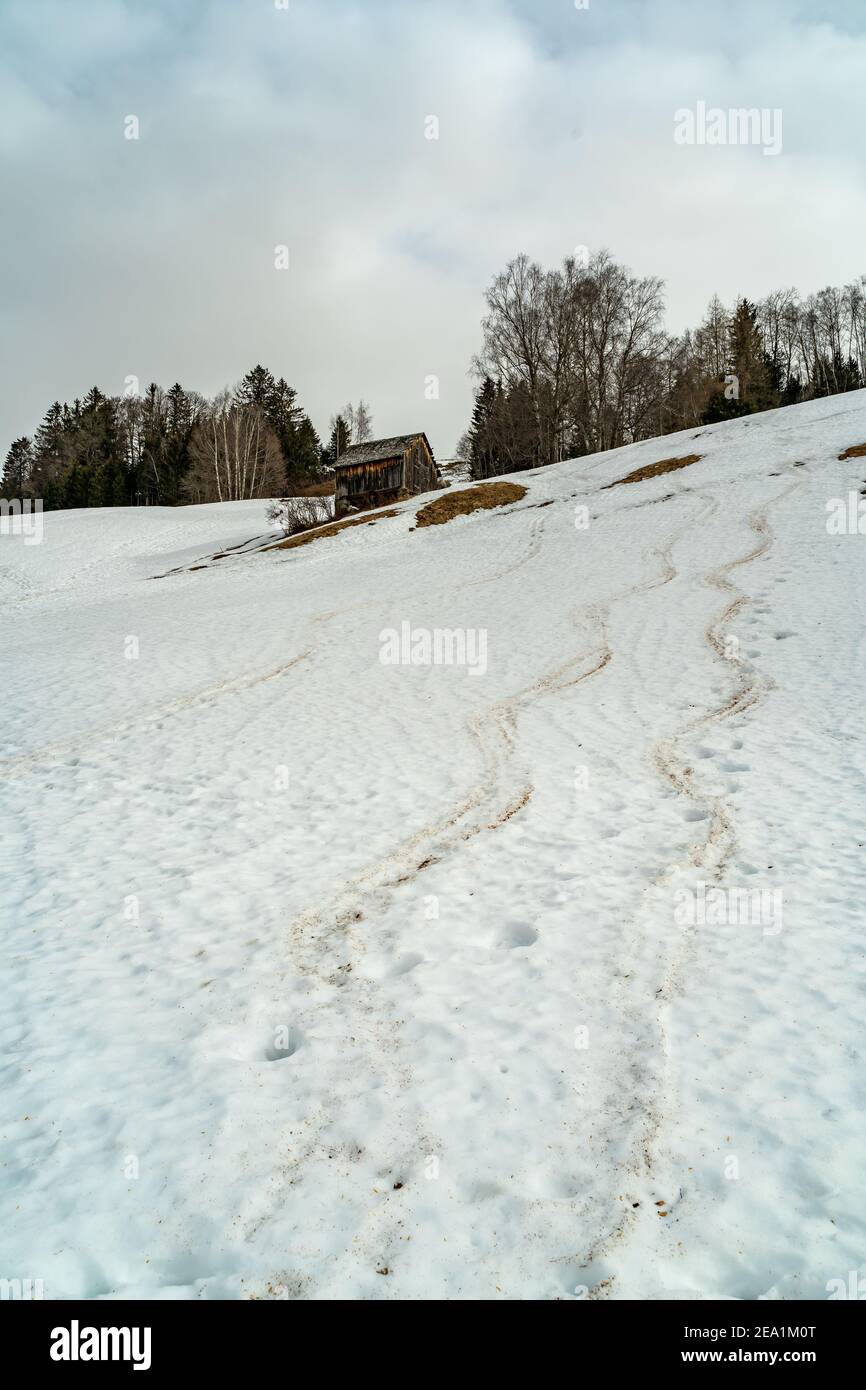 Schneefeld mit Bäumen und Scheune auf dem Hochmoor. Schneebedeckter Hang und Sahara-Sand in der Luft. offene Schneefelder bei Föhn und Saharasand in Wolken Stockfoto