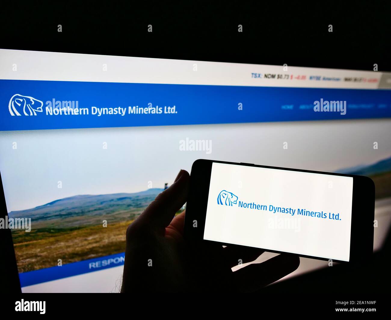 Person, die Smartphone mit Logo des Bergbauunternehmens Northern Dynasty Minerals Ltd. Auf dem Bildschirm vor der Webseite hält. Fokus auf Handy-Display. Stockfoto