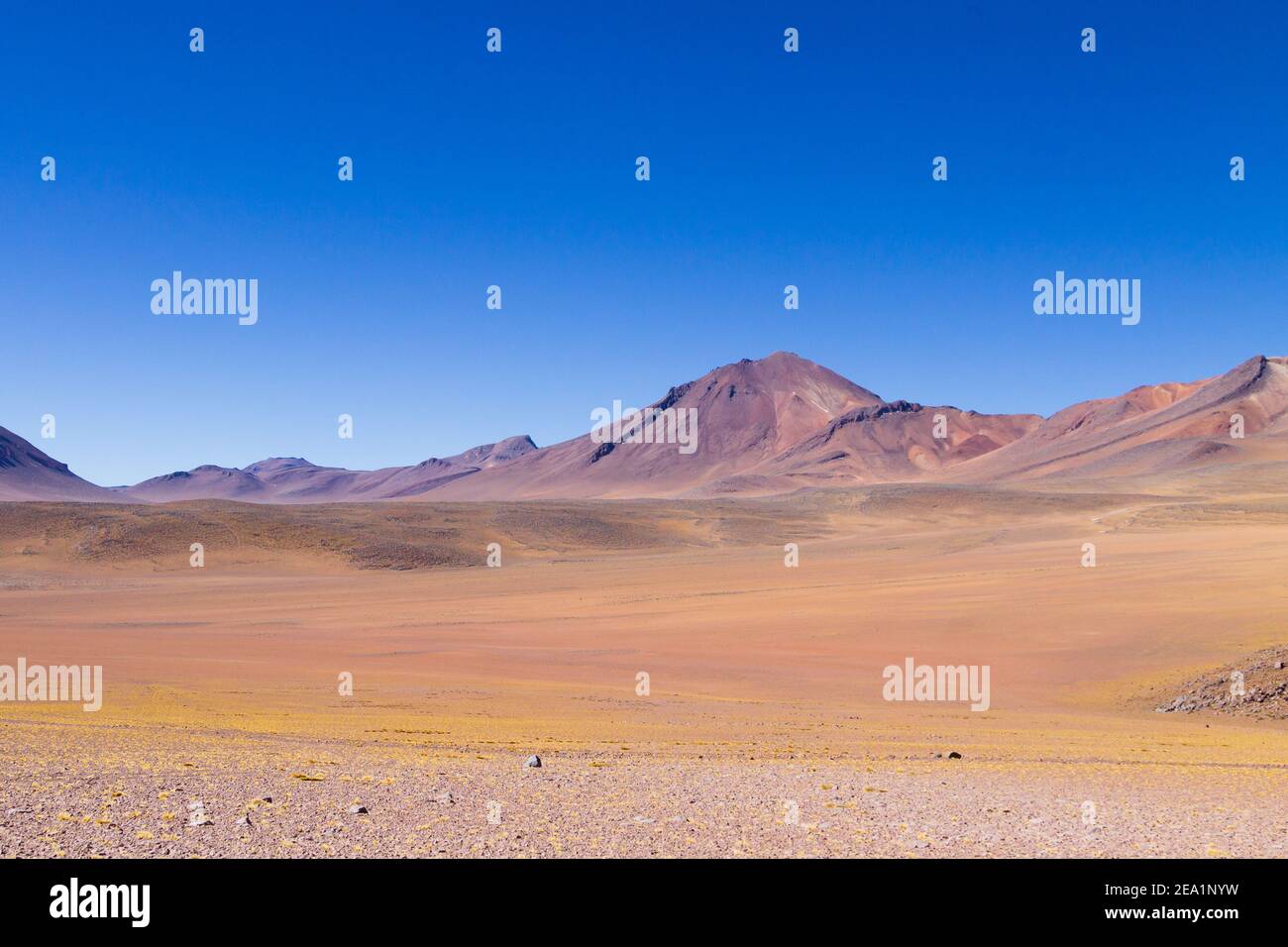 Bolivianischen Landschaft, Salvador Dali Desert View. Schöne Bolivien Stockfoto