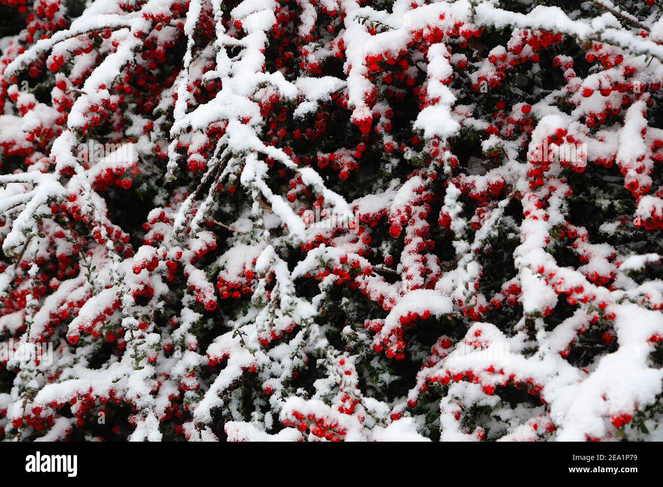 Ashford, Kent, Großbritannien. Februar 2021, 07. UK Wetter: Sturm Darcy trifft die Stadt Ashford in Kent. Foto-Kredit: Paul Lawrenson/Alamy Live Nachrichten Stockfoto