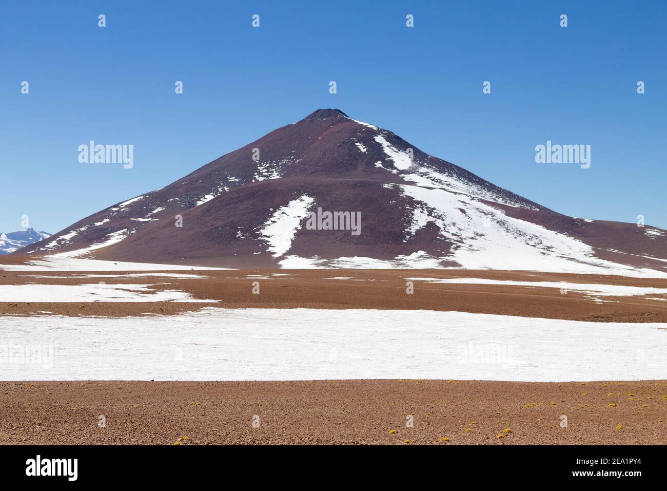 Bolivianischen Landschaft, Salvador Dali Desert View. Schöne Bolivien Stockfoto