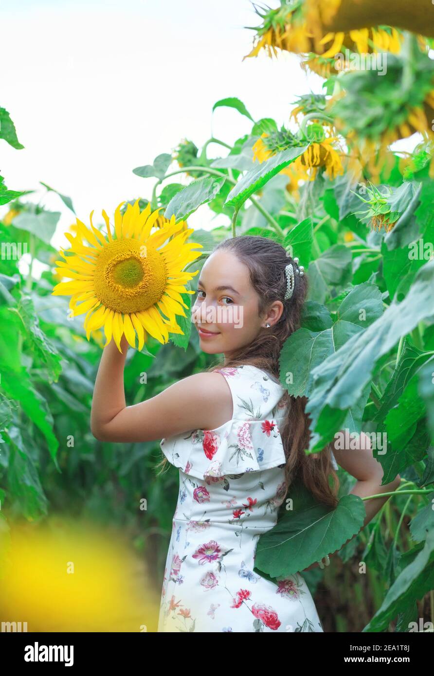 Cute teen Mädchen spielt mit Sonnenblume im Sommer Feld Stockfoto