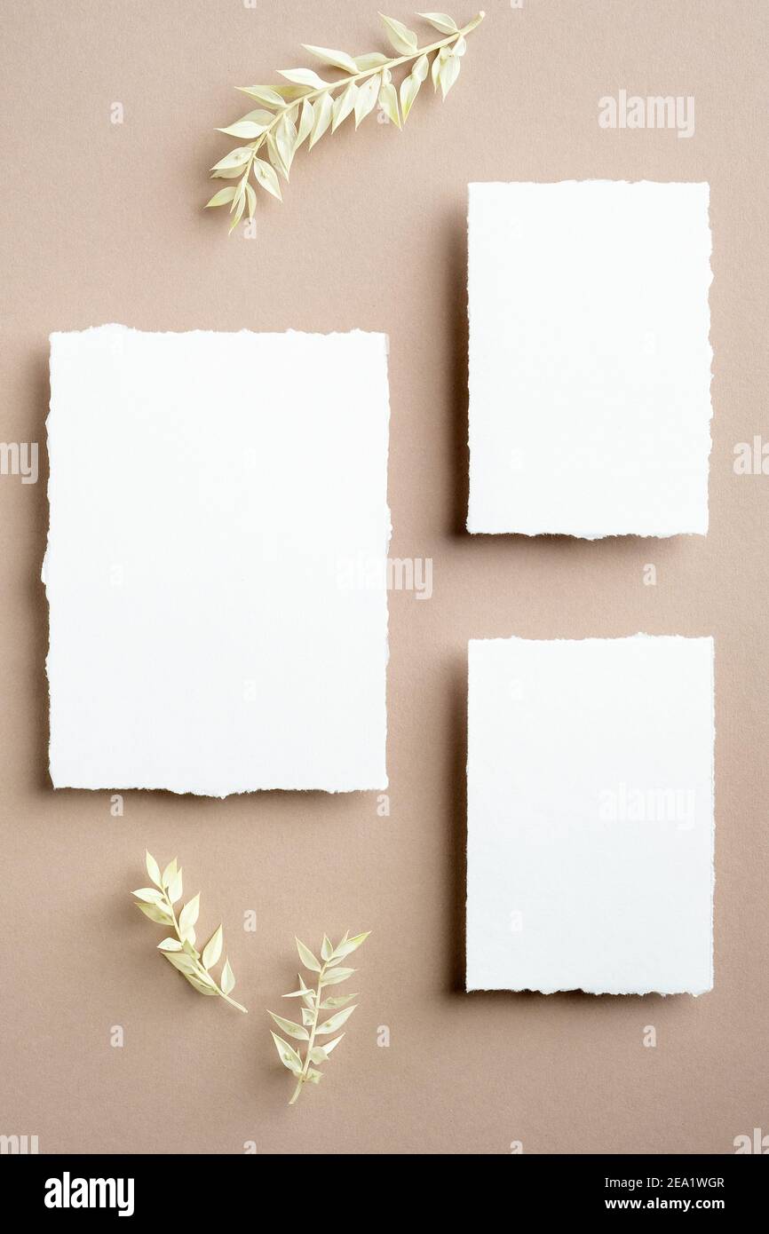 Weiße weiße Hochzeit Einladungskarten Mockups mit getrockneten Blumen auf pastellbeigem Hintergrund. Elegante Hochzeitsbriefpapier. Flach liegend, Draufsicht, Kopierbereich Stockfoto
