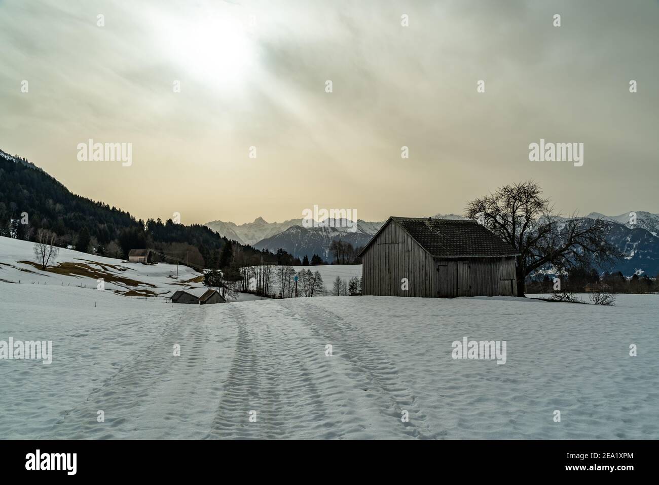 Landschaft mit Sahara-Sand in der Luft im verschneiten Vorarlberg. Heuscheune, Bäume und Wald mit verschneiten Bergen im Hintergrund. Gurtisspitze Walgau Stockfoto