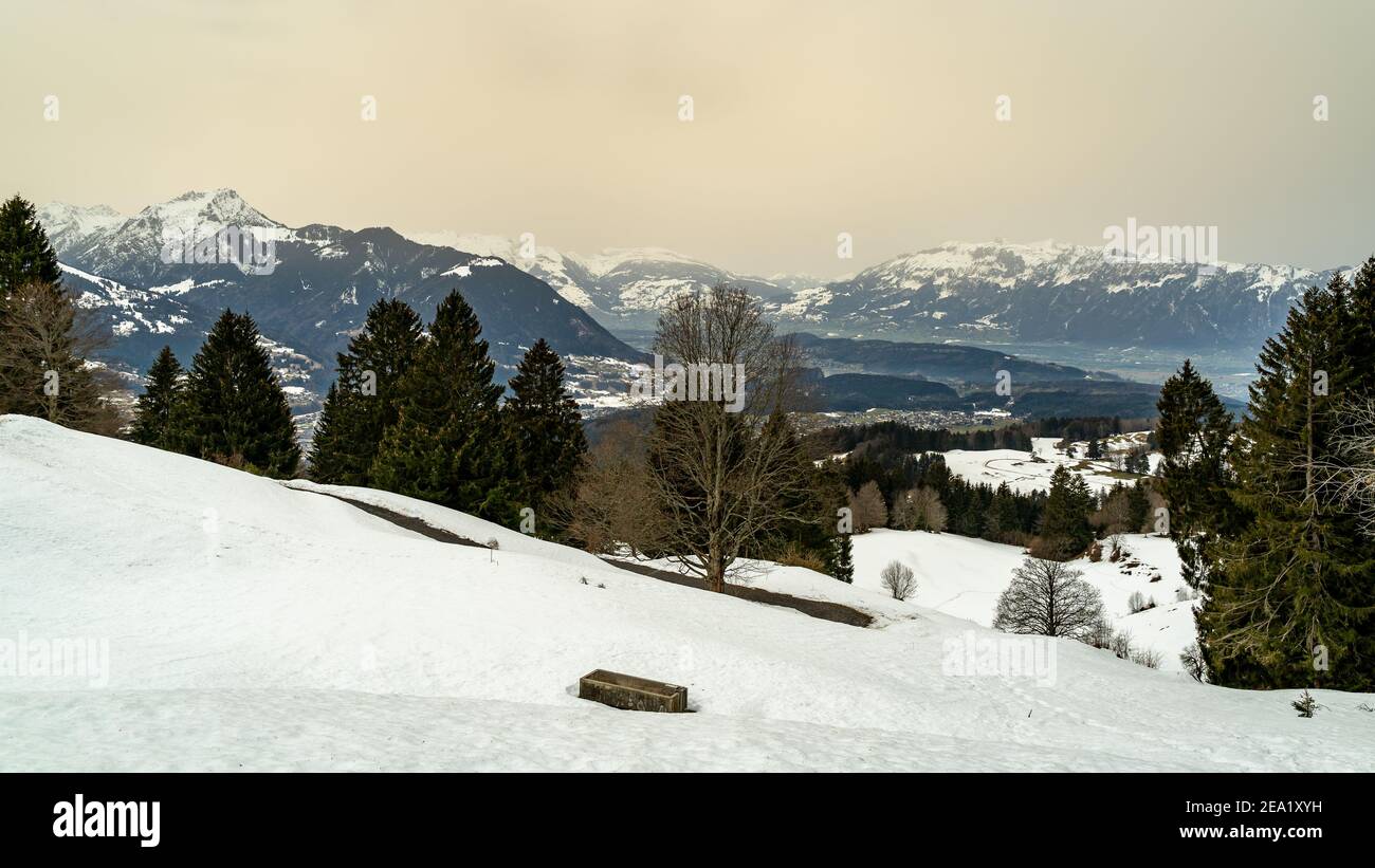 Schneelandschaft mit Sahara-Sand in der Luft. Bäume am verschneiten Hang, Wälder und Hochmoor. Winter mit Saharasand in Wolke. Alpsteinmassiv, Amerlügen Stockfoto