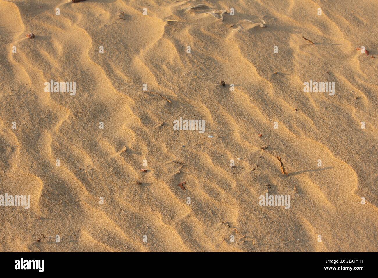 Blick auf feinen Strandsand mit Wellendesign durch Wind verursacht, Chennai, Indien Stockfoto