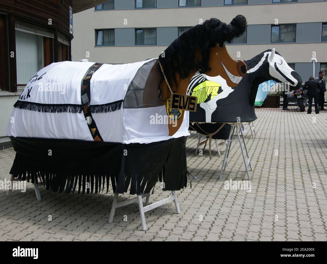 Elvis Quiff Singles dieses Pferd aus für einen 'Rocker'! Stockfoto