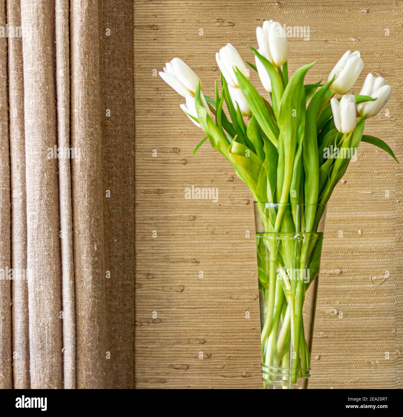Große Vase mit frisch geschnittenen Tulpen Stockfoto
