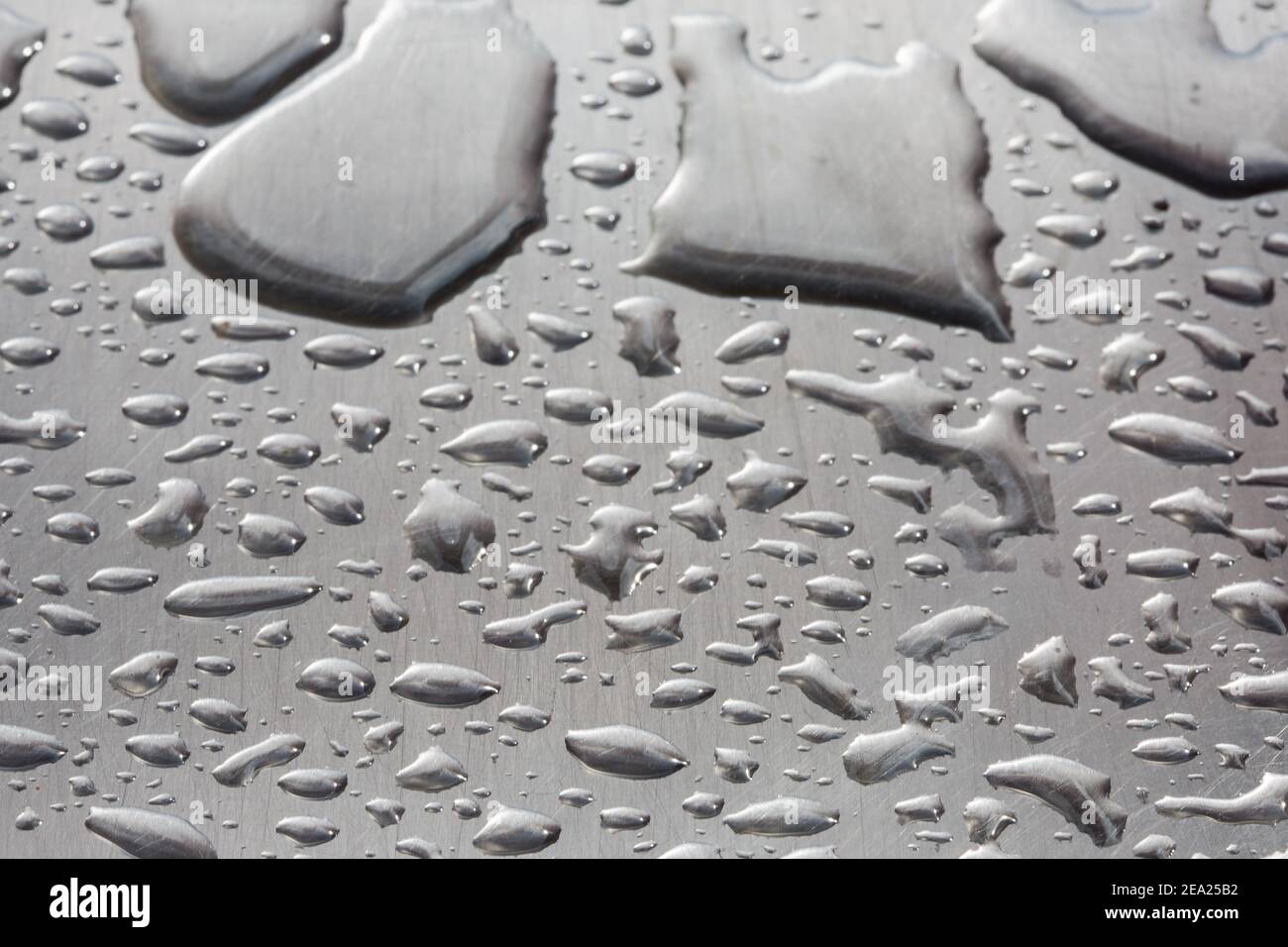 Fototextur Tropfen Wasser auf einem zerkratzten Metallstahl. Makro viele Tropfen Wasser verschiedener Größen auf einem grauen Hintergrund. Große Tropfen auf den ph-wert Stockfoto