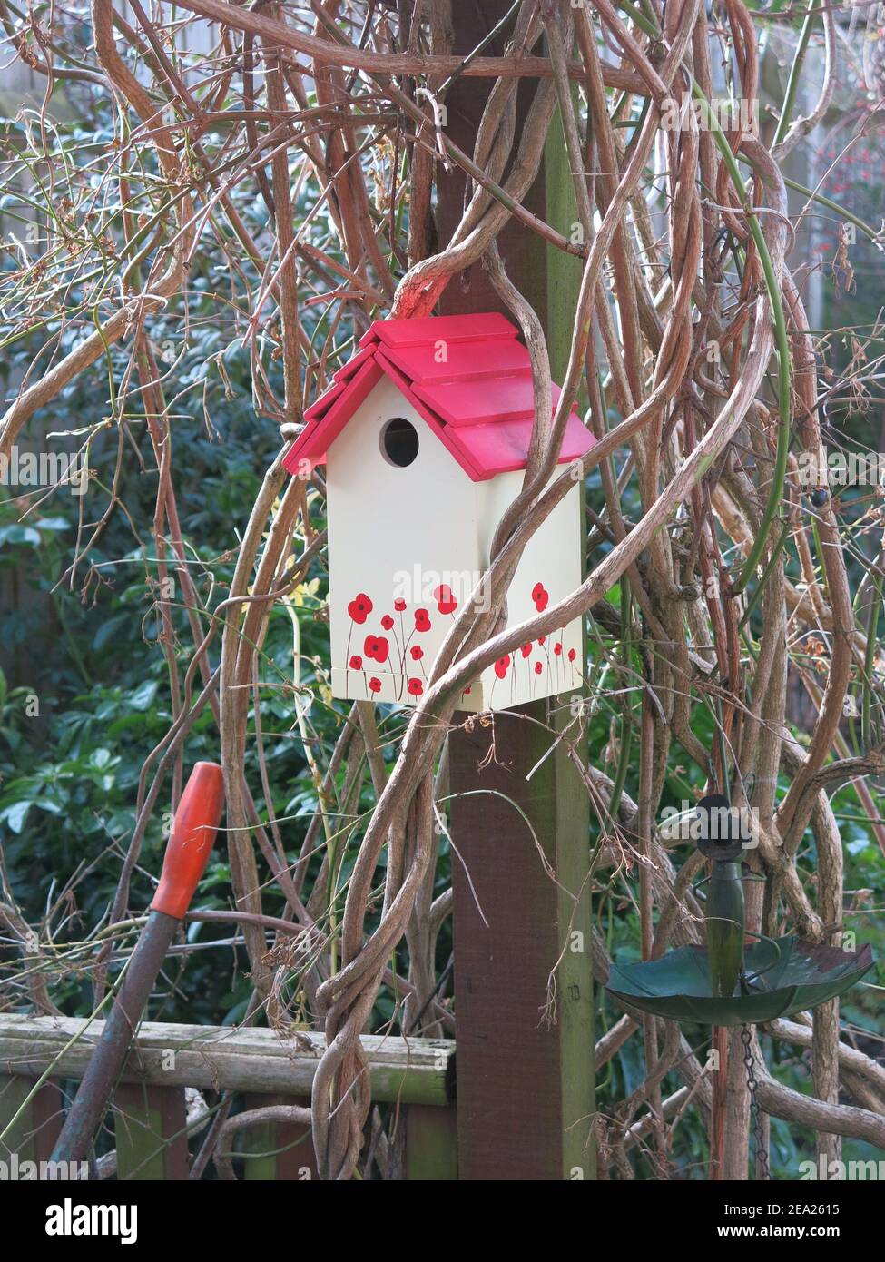 Eine hübsche kleine Vogelkiste in einem englischen Garten, in der Form eines Hauses mit rotem Schrägdach und mit roten Mohnblumen dekoriert. Stockfoto