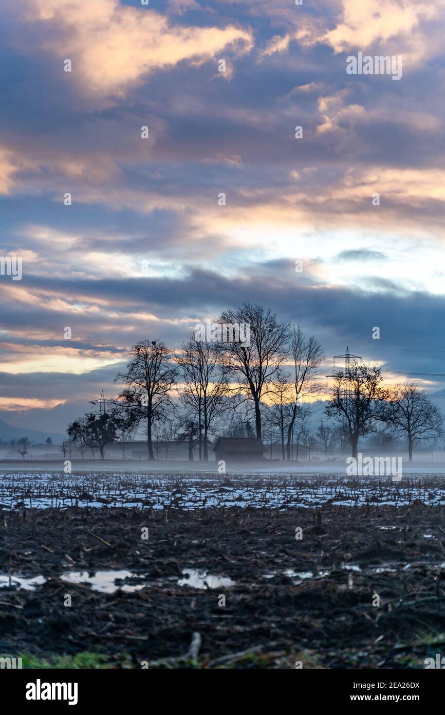 Sonnenuntergang mit Bäumen im Rheintal. Farbige Wolken und Schnee auf dem Feld. Farbige Wolken beim Sonnenuntergang im Rheintal, Vorarlberg, Dornbirn Österreich Stockfoto