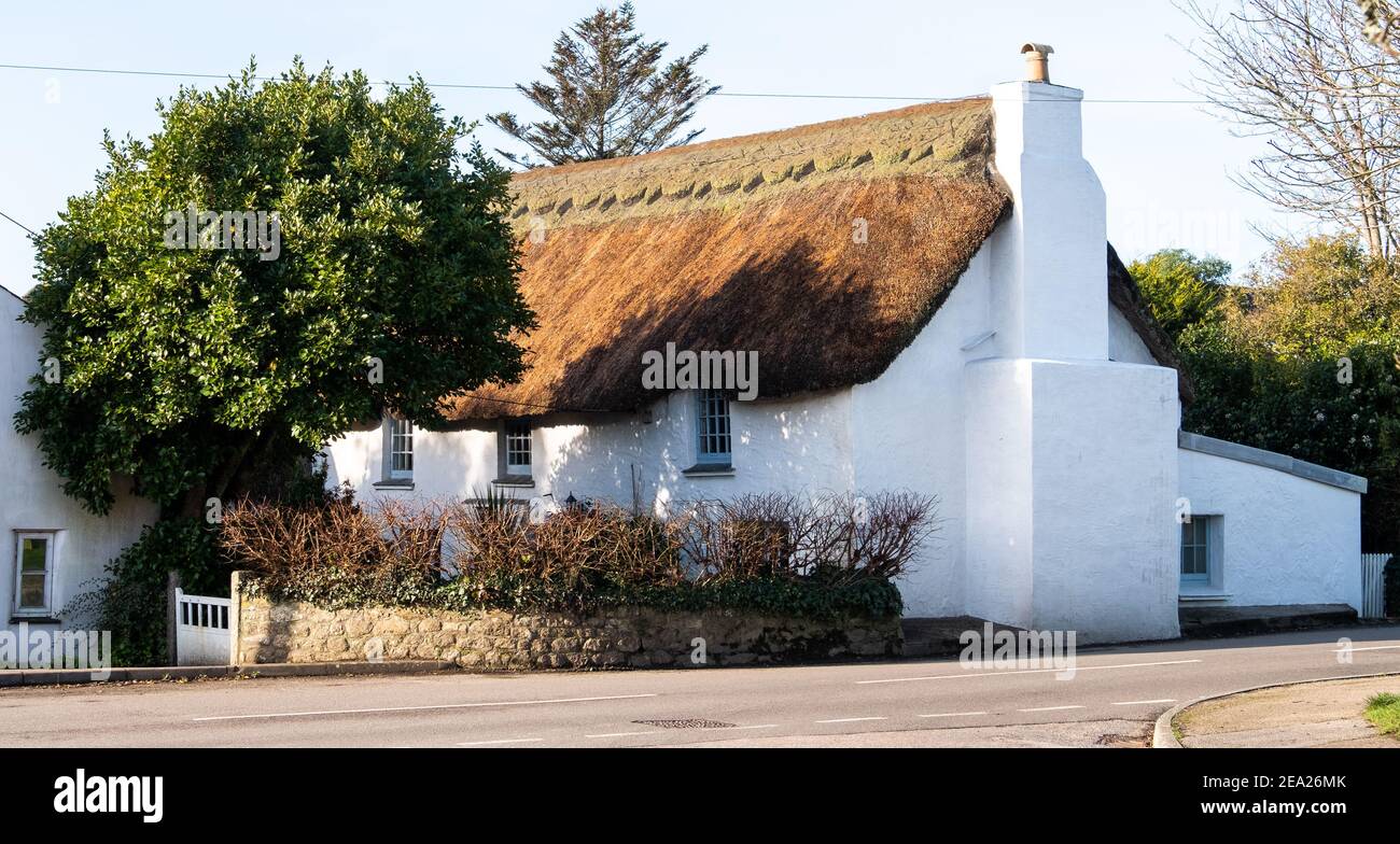 Weiß getünchte, lange und niedrige traditionell strohgedeckte Hütte im Zentrum von Mawnan Smith, in der Nähe von Falmouth, Cornwall mit Steinmauer umzäunten Vorgarten. Stockfoto