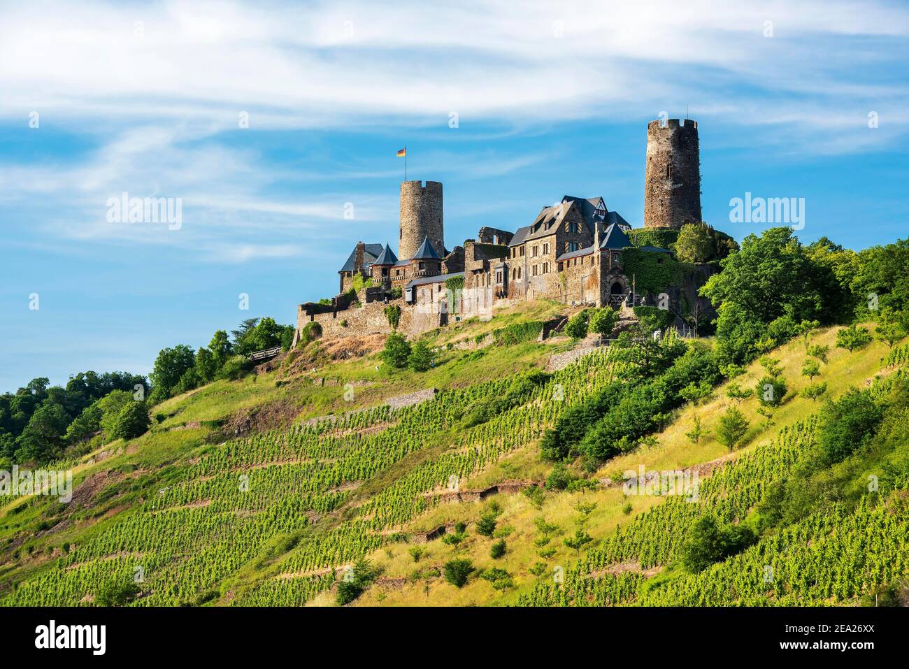 Schloss Thurant über Weinbergen im Moseltal, Alken, Untermosel, Rheinland-Pfalz, Deutschland Stockfoto
