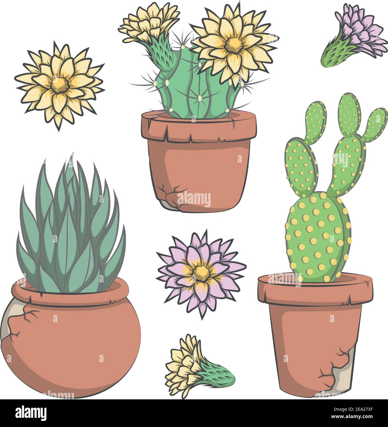 Set von vektorfarbenen Kaktus mit Blumen in alten Töpfen. Stock Vektor