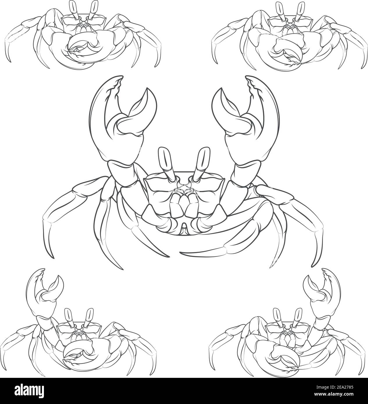Ein Satz von Vektorkrabben Illustrationen. Isolierte Objekte. Stock Vektor