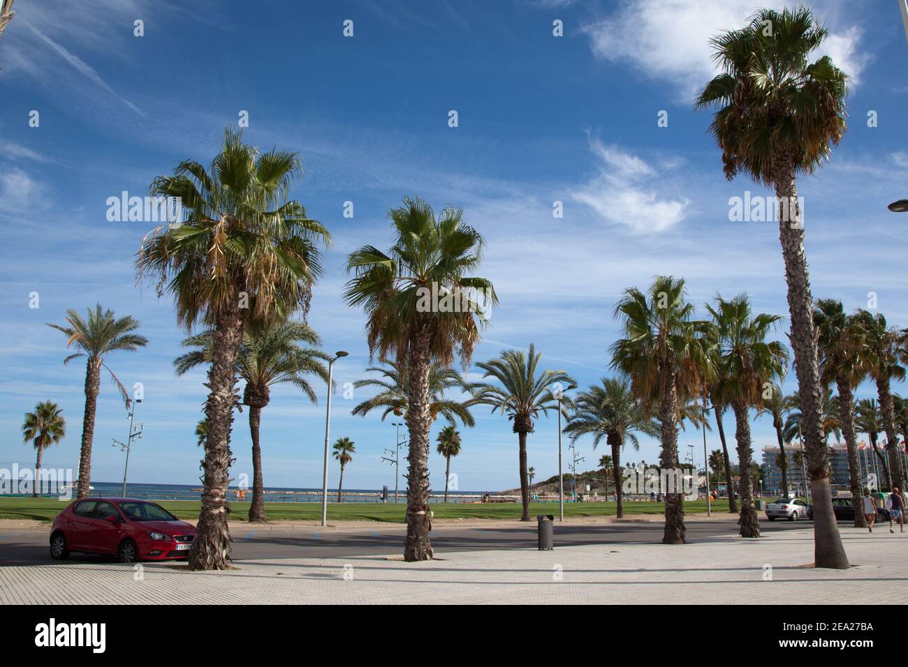 LA PINEDA, SPANIEN: Ein Damm mit Palmen liegt in der spanischen Stadt La Pineda. Stockfoto