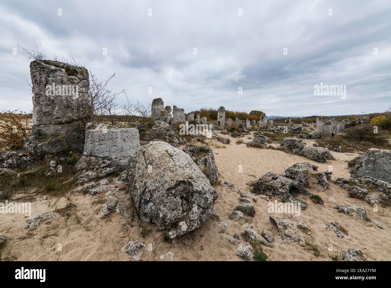 Steinwüste Pobiti Kamani Felsenphänomen, in der Nähe von Varna, Bulgarien Stockfoto