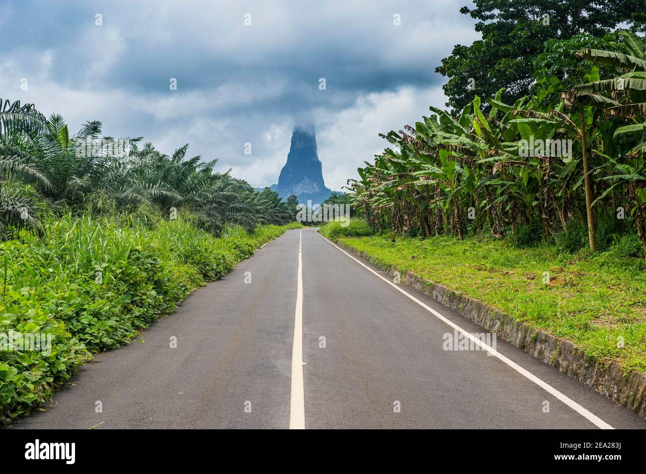 Straße, die zum ungewöhnlichen Monolith führt, Pico Cao Grande, Ostküste von Sao Tome, Sao Tome und Principe, Atlantischer Ozean Stockfoto