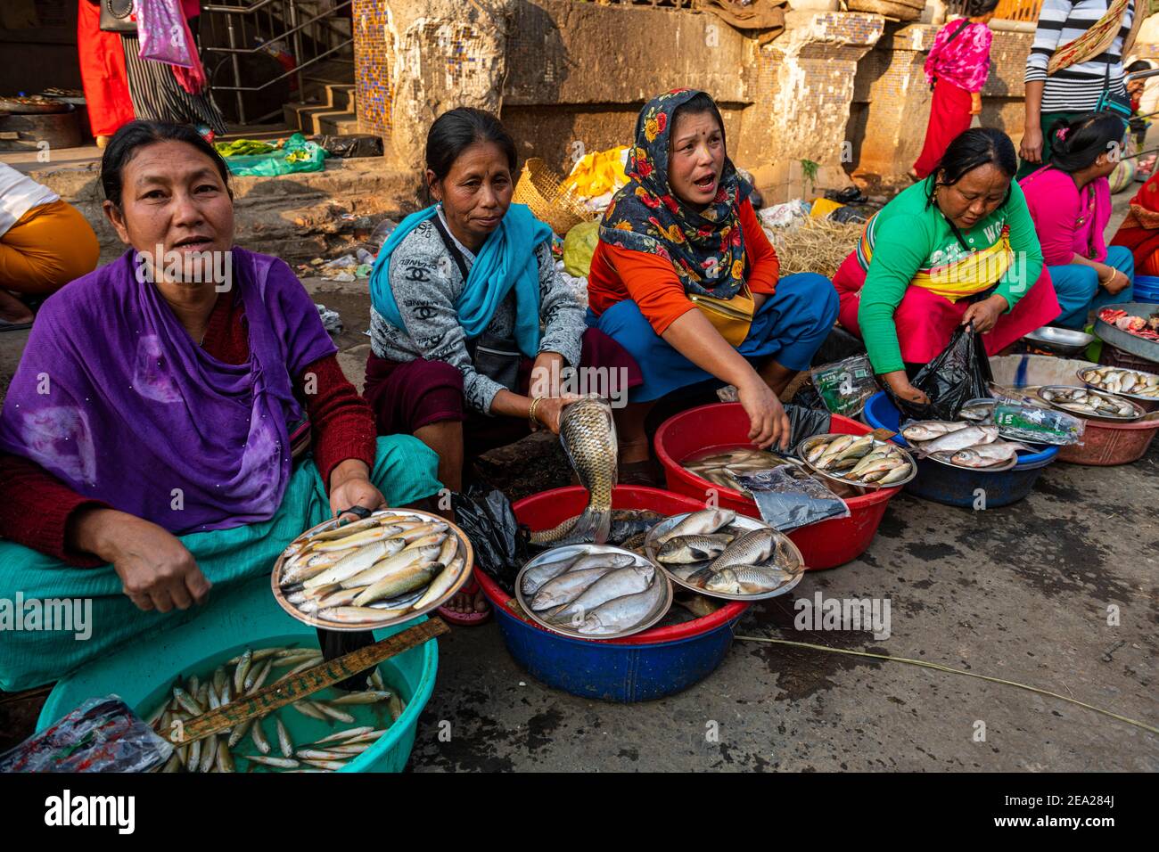 Bunt gekleidete Frauen Verkäufer Fisch verkaufen, IMA Keithel womenâ´s Markt, Imphal, Manipur, Indien Stockfoto