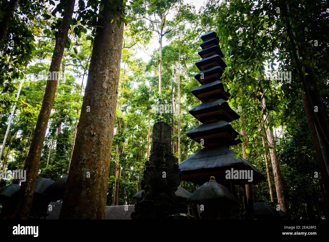 Der Tempel im Monkey Forest in Sangemh auf Bali Stockfoto