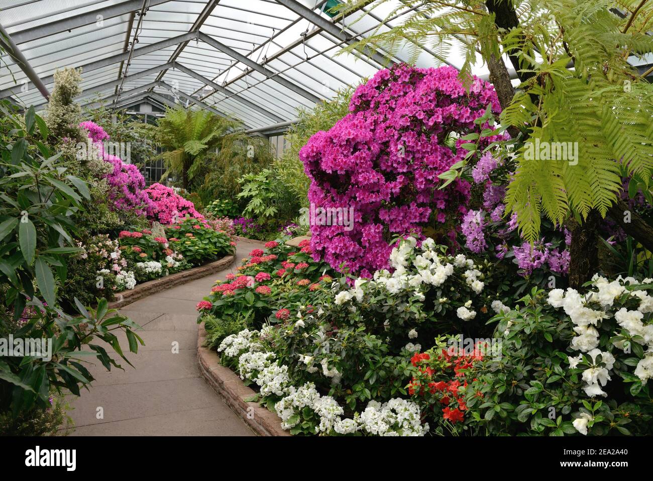 Greenhouse wilhelma stuttgart Fotos und Bildmaterial in hoher