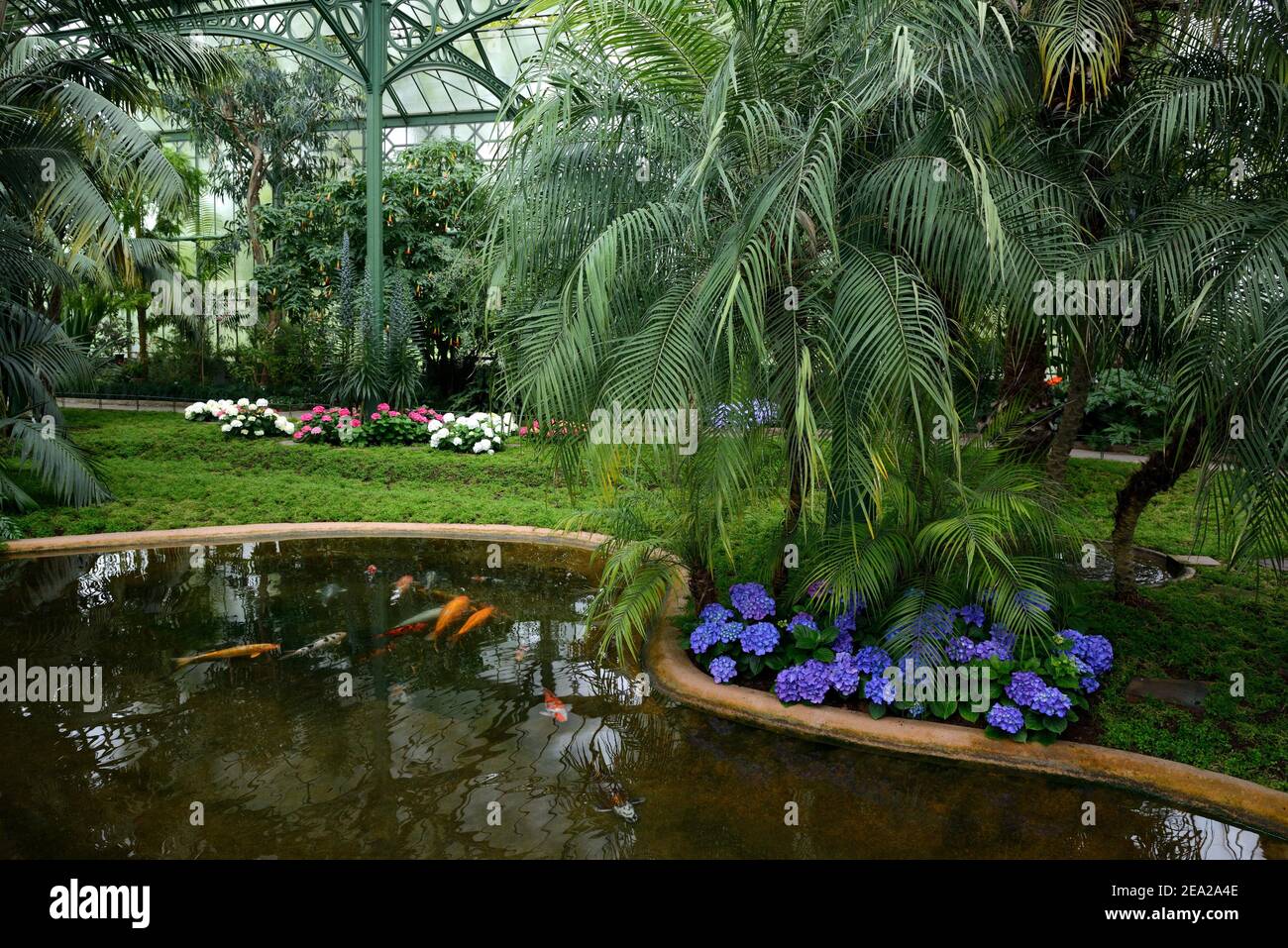 Palmenhaus, Wilhelma, ZoologischerBotanischer Garten, Stuttgart, Baden