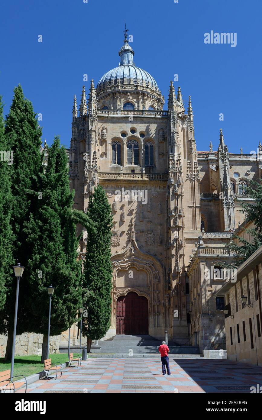 Kathedrale von Salamanca, Catedral Vieja de Santa Maria del Asedio, Spanien Stockfoto