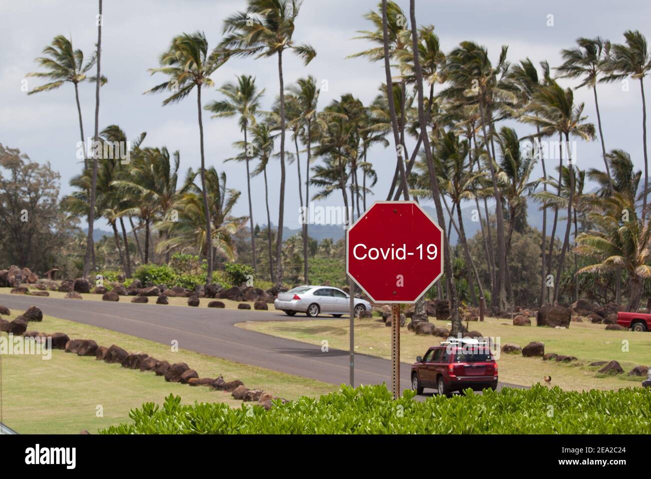 Covid-19 rotes Warnschild auf dem Hintergrund der Palmen der tropischen Insel Kauai, Hawaii-Inseln. Coronavirus Epidemie Konzept in USA Hawai Stockfoto