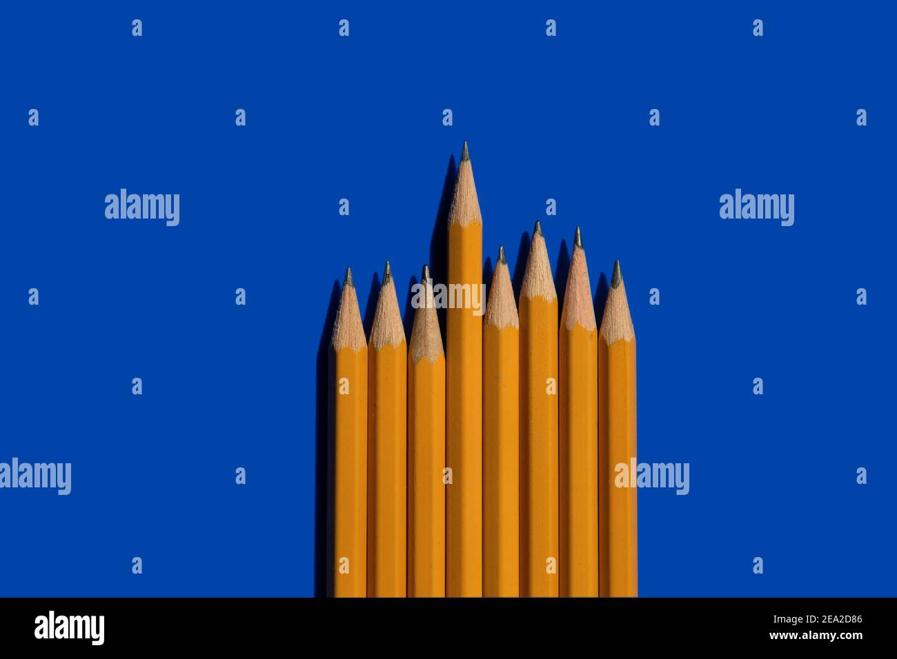 Gelbe Stifte isoliert auf blauem Hintergrund mit harten Schatten. Modell. Konzeptführer. Stockfoto