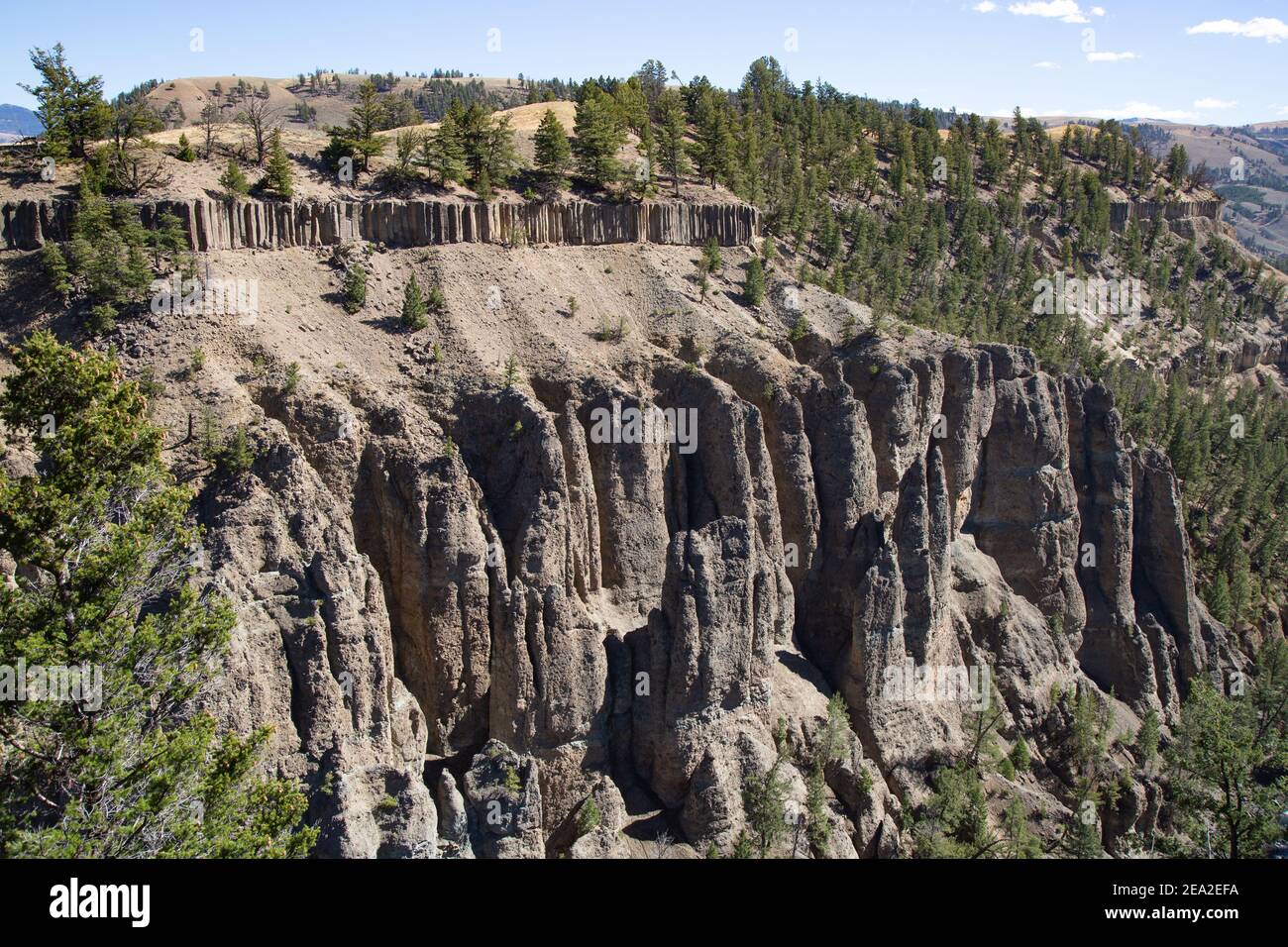 Calcit federn Bereich der Yellowstone National Park, Wyoming, USA Stockfoto