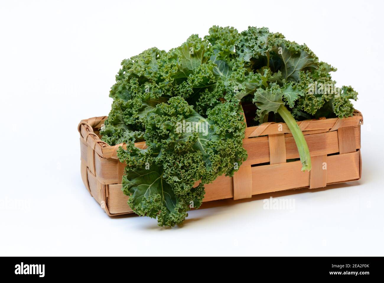 Brassica oleracea in spankorb (Brassica oleracea acephala var. sabellica) Stockfoto